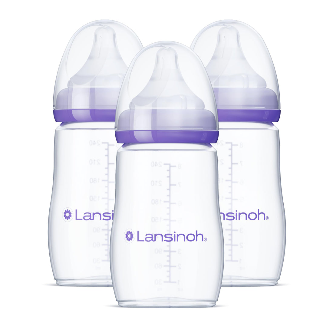 Three clear Lansinoh eight-ounce baby bottles with medium-flow nipples and caps