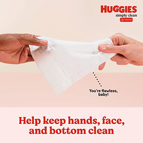 Huggies Simply Clean Fragrance-Free Baby Wipes, 64 Count (Pack of 11) (704 Wipes Total)